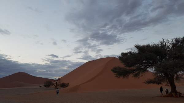 나비비아사막
