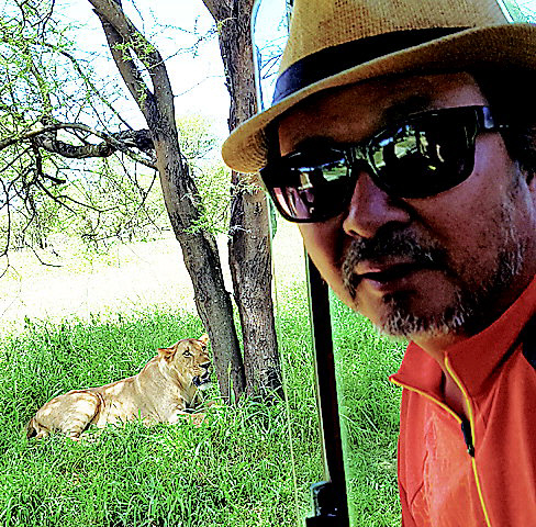 탄자니아타랑기레국립공원-사자