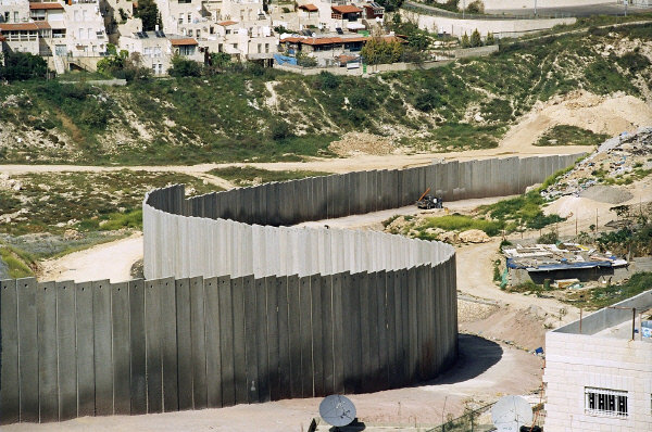 알렉상드라노보셀로프작'팔레스타인장벽'